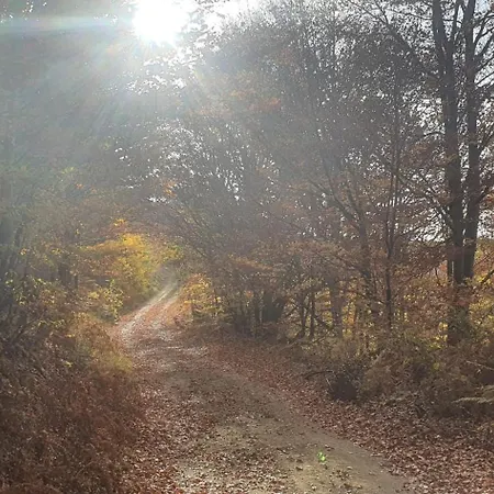 Taorska Vrela - Natura Village *
